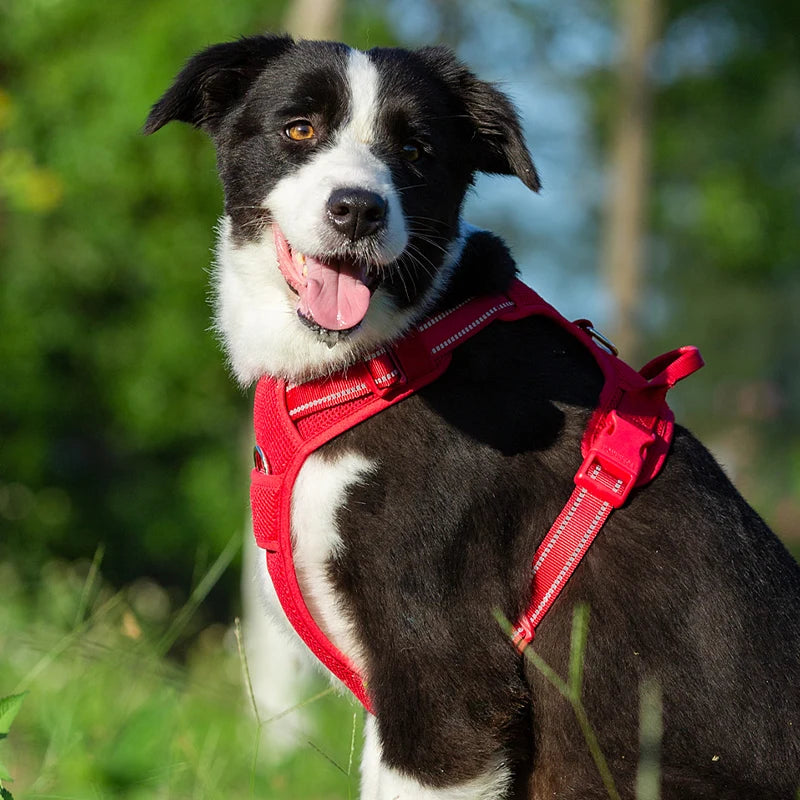 TRUELOVE Dog Harness Reflective Outdoor Safety Chest Strap