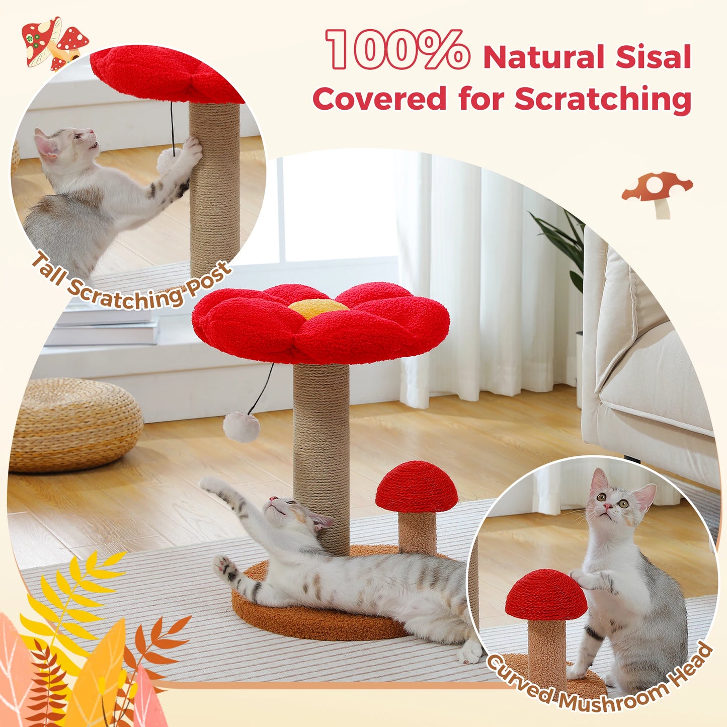 PAWZ Road Mushroom Cat Scratcher With Removable Flower Bed And Ball