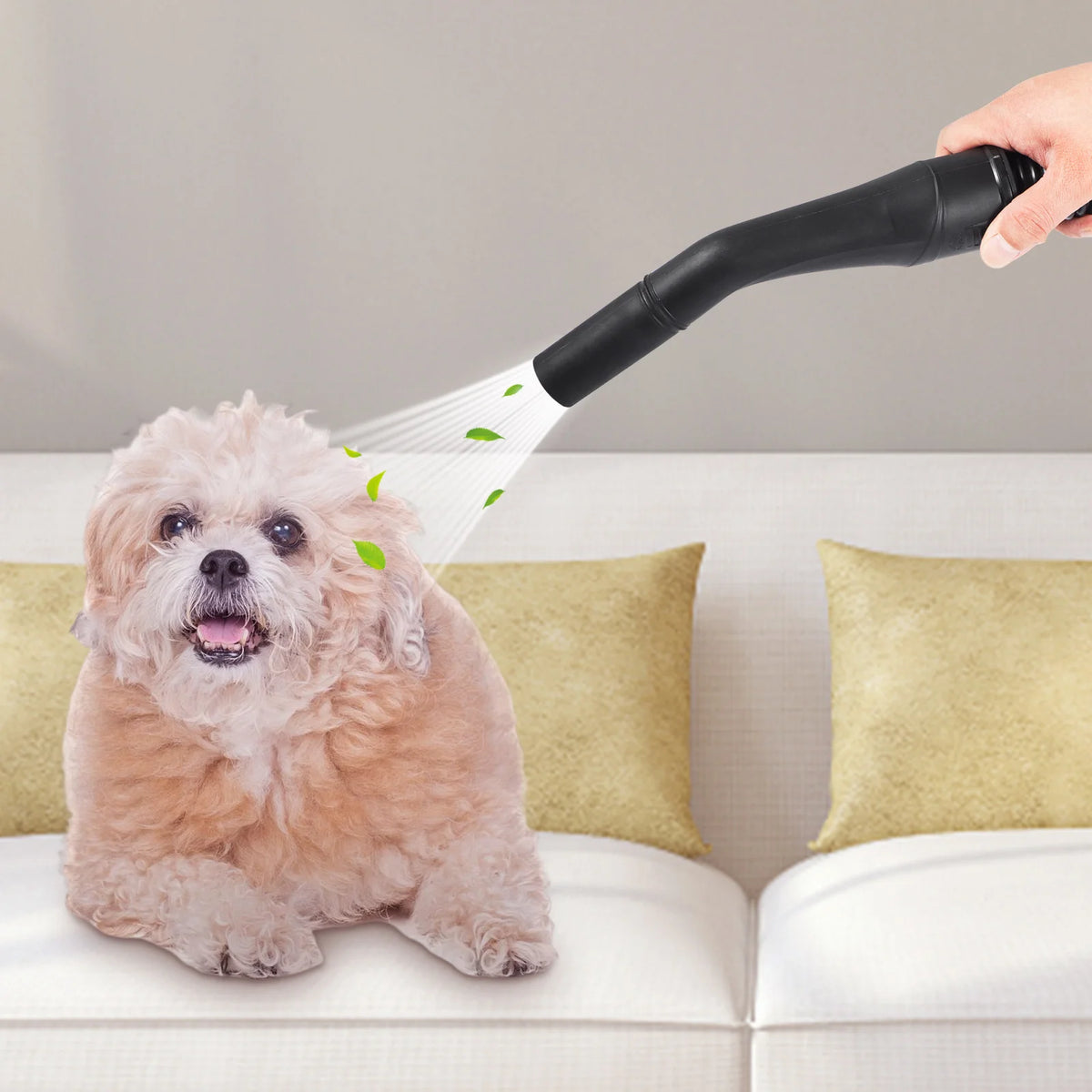 SucceBuy Portable Wet And Dry Shop Vacuum Cleaner