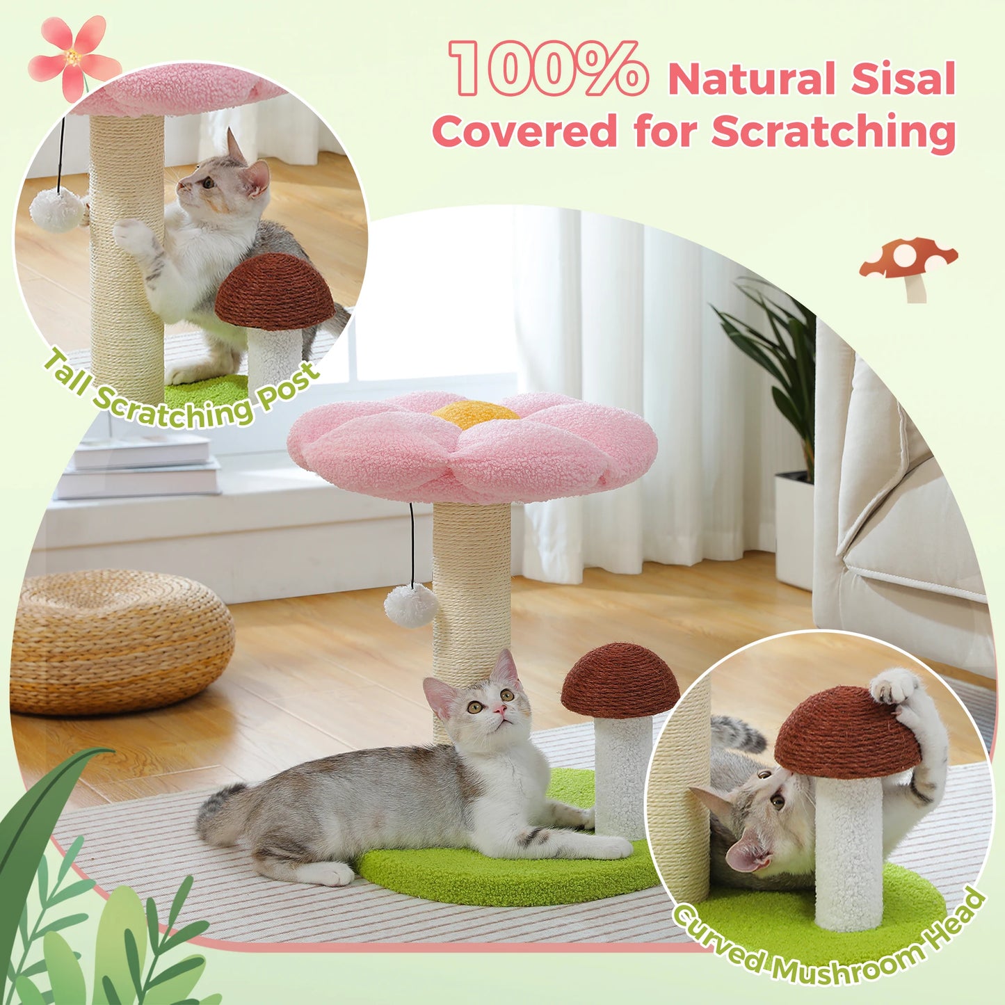 PAWZ Road Mushroom Cat Scratcher With Removable Flower Bed And Ball