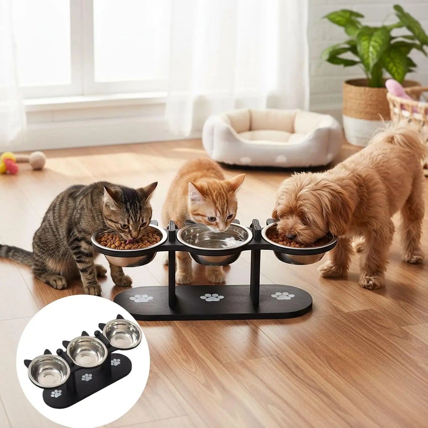 Elevated Cat Feeding Bowl With 15 Degree Tilt Wooden Stand